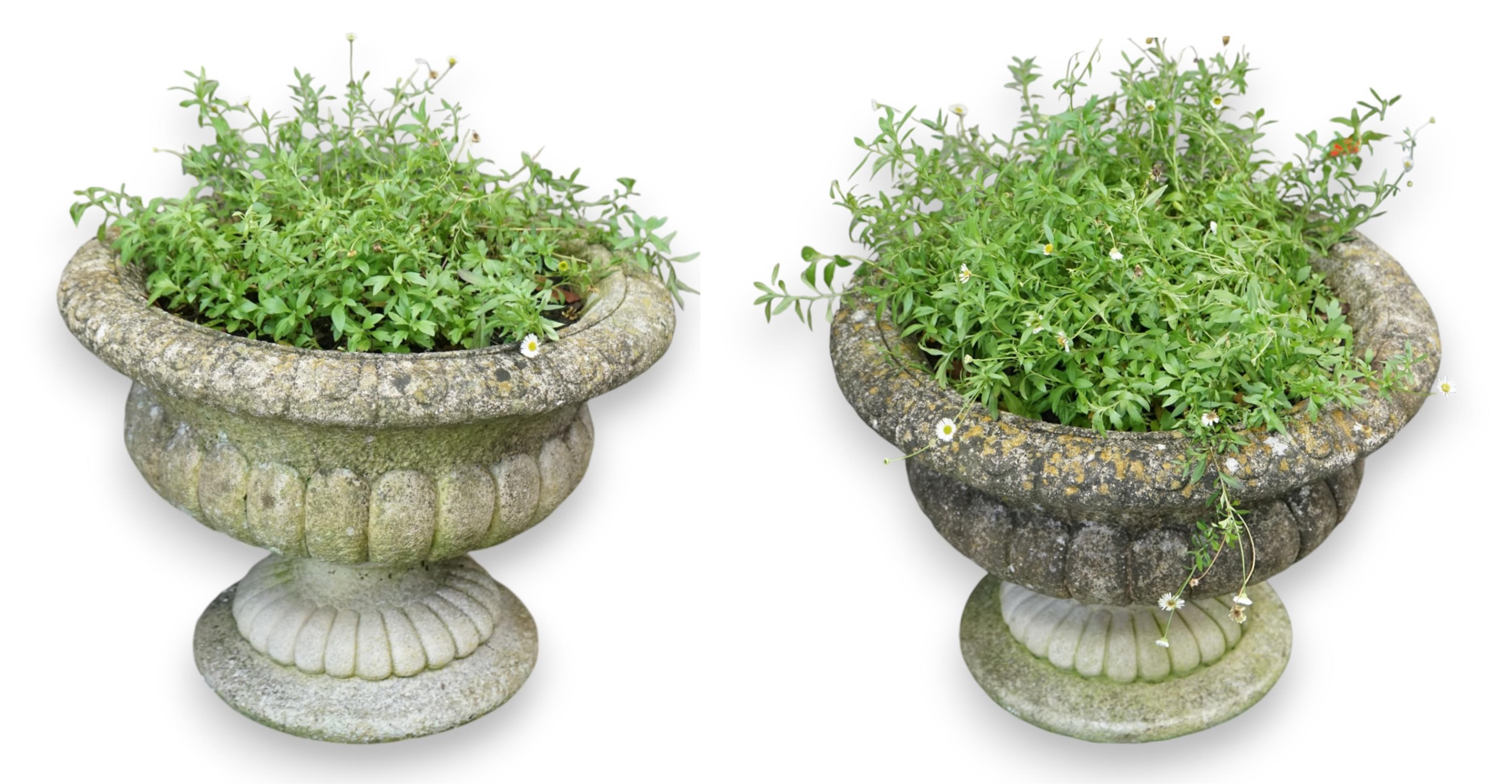 A pair of reconstituted stone circular garden urns